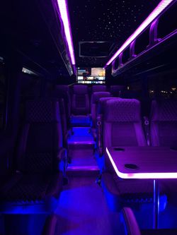 Executive Sprinter Party Bus