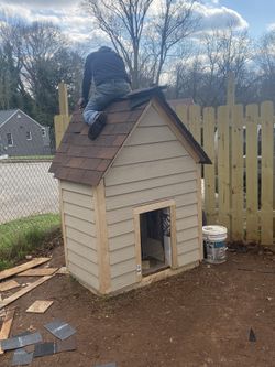 Dog House