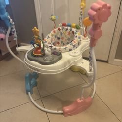 Baby Bouncer Activity Center
