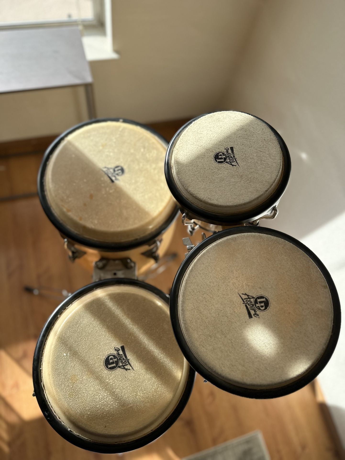 LP Aspire Bongos