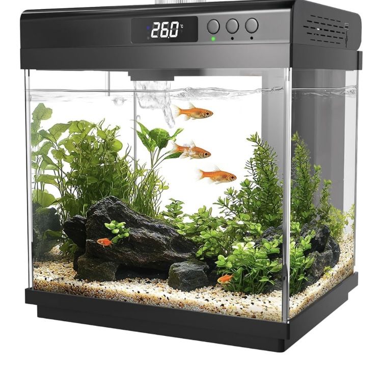 AQQA 3.7 Gallon Aquarium