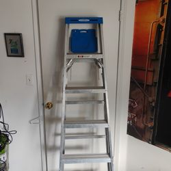 Aluminum 6ft Ladder