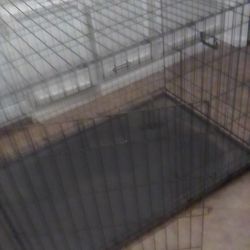 Dog Crate And Cages