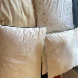 Free Old Pillows 