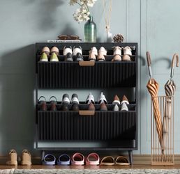 Brand New Shoe Cabinet