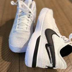 NIKE ZOOM LEBRON NXXT GEN TB P