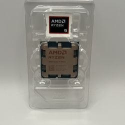 AMD RYZEN 9 9900X
