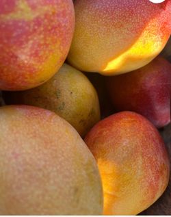 MANGOS