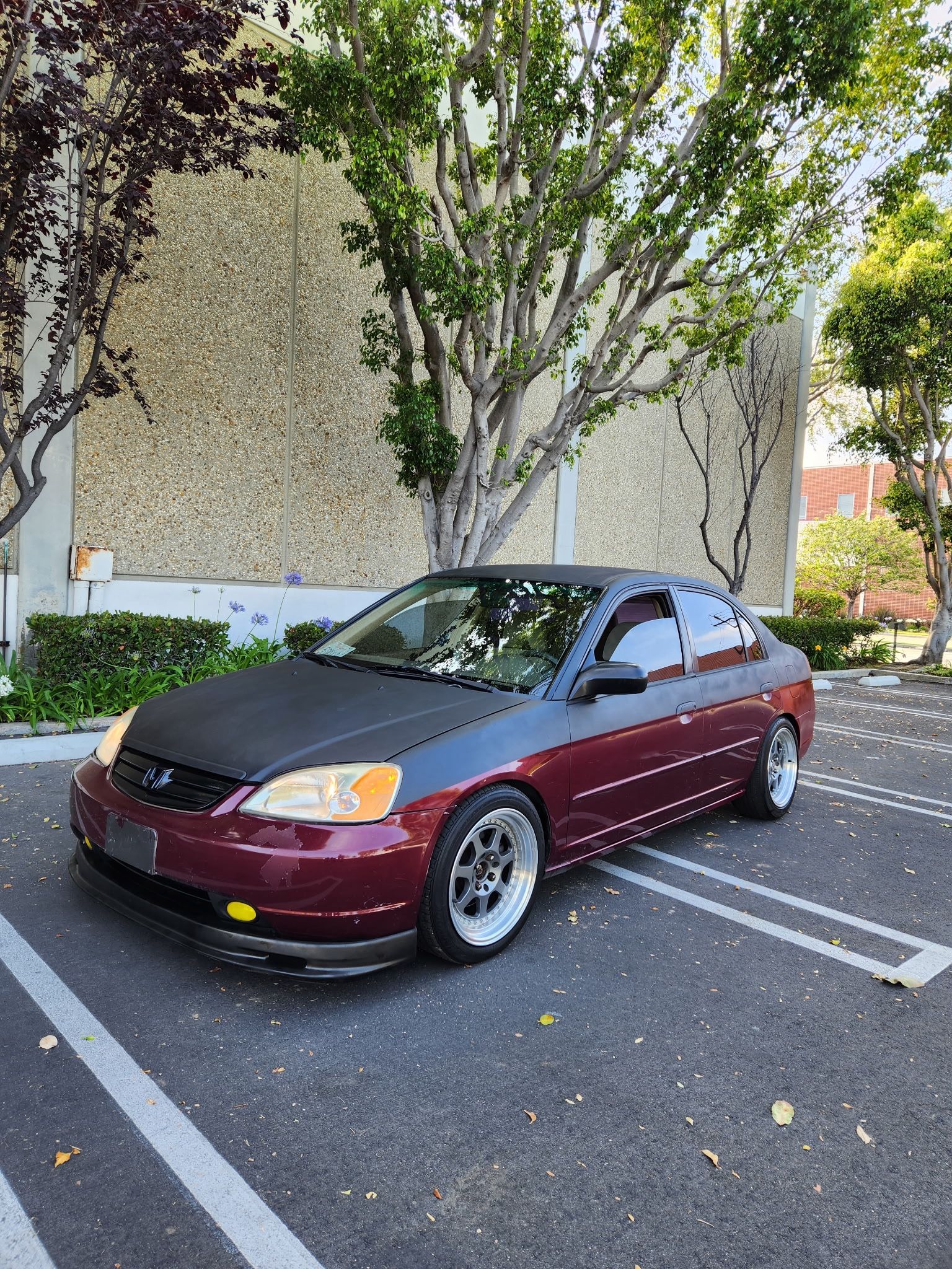 2003 Honda Civic