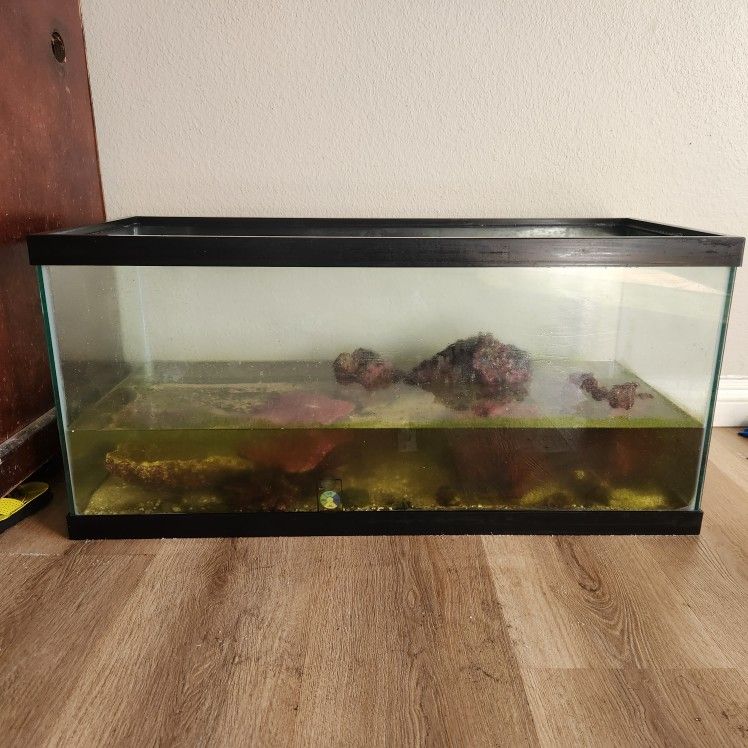 40 Gallon Aquarium Fish Tank