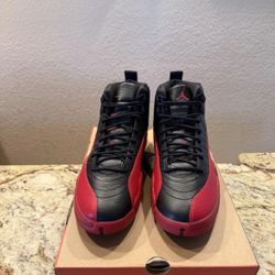 Air Jordan Retro 12 Flu Game