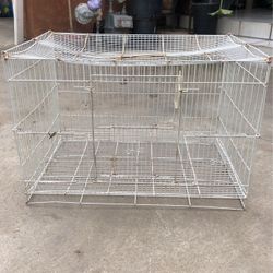 Bird Cage