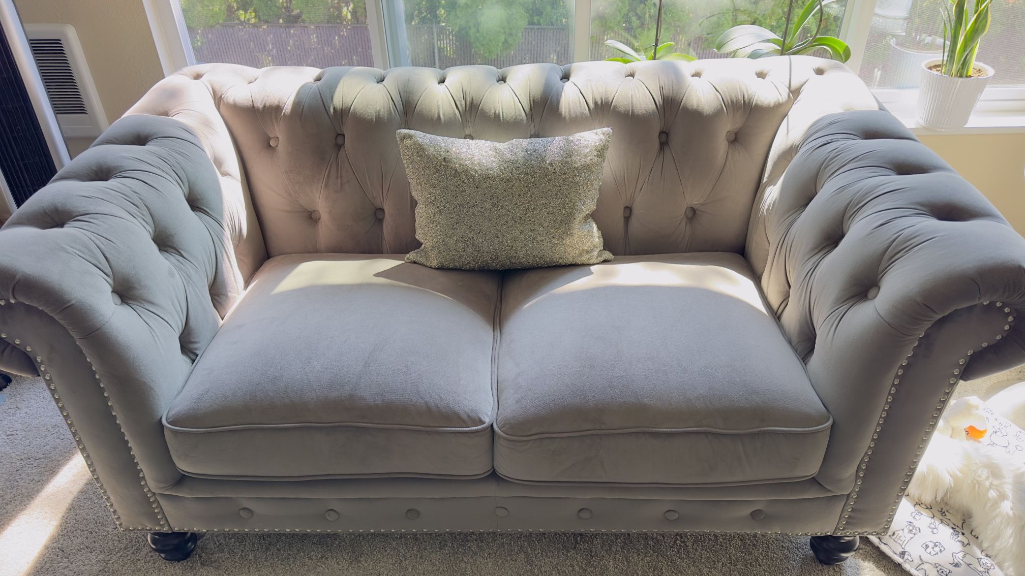 Galray Velvet Couch