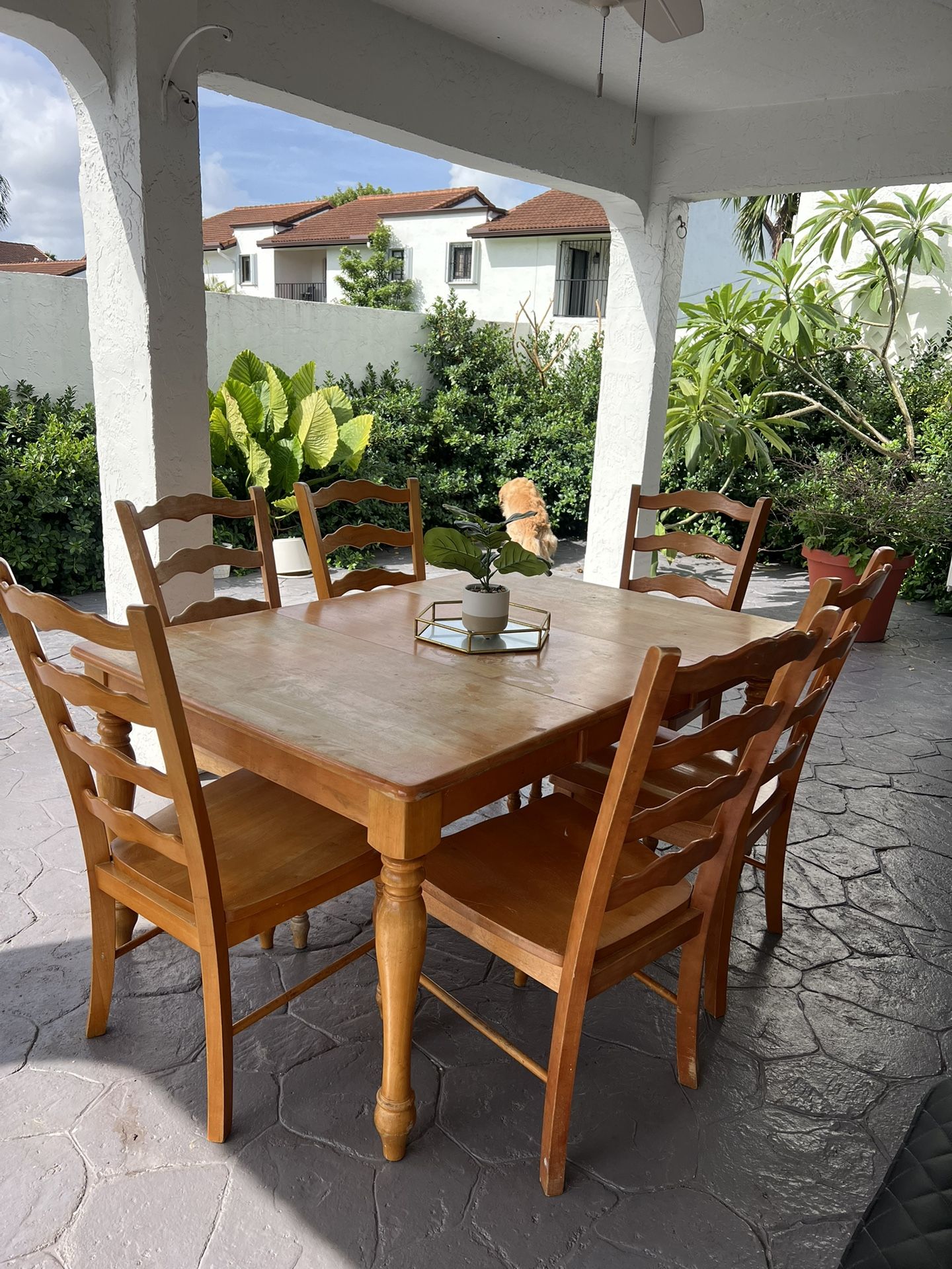 Dining Table With Chairs