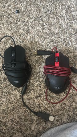 mouses