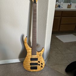 5 String Electric Bass Guitar