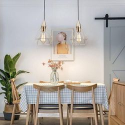 Vintage Metal Wire-caged fixtures