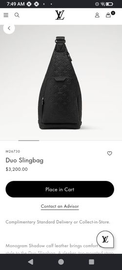 Louis Vuitton backpack