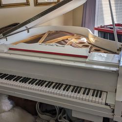 Baby Grand with PIANOCORDER P-100 