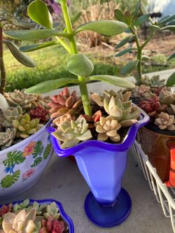 Mother day gifts