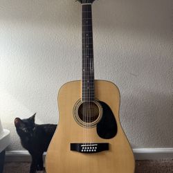 12 String Electric/Acoustic Guitar