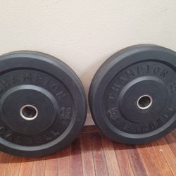 Bumper Weights 