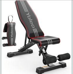 Workout Bench