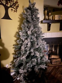Lighted Christmas Tree