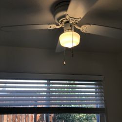 Selling Fan