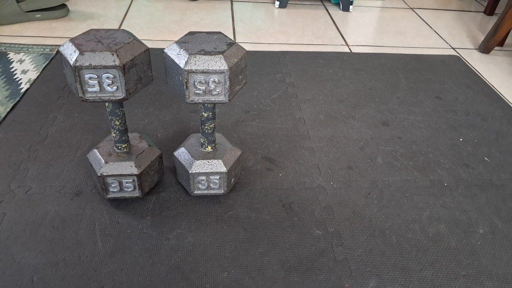 35 Pound Dumbbells 
