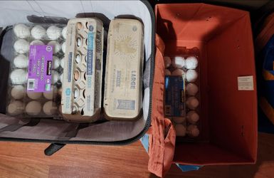 Farm Fresh eggs