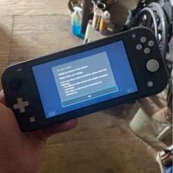 Nintendo Switch Lite