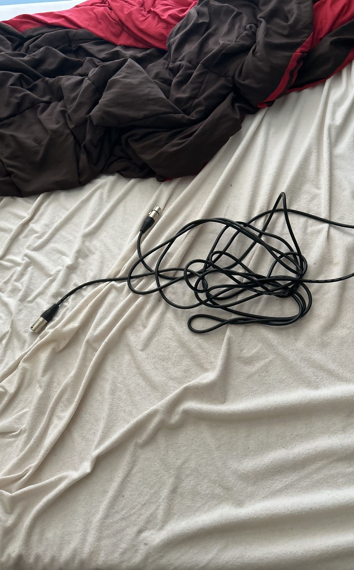 It’s a microphone cord