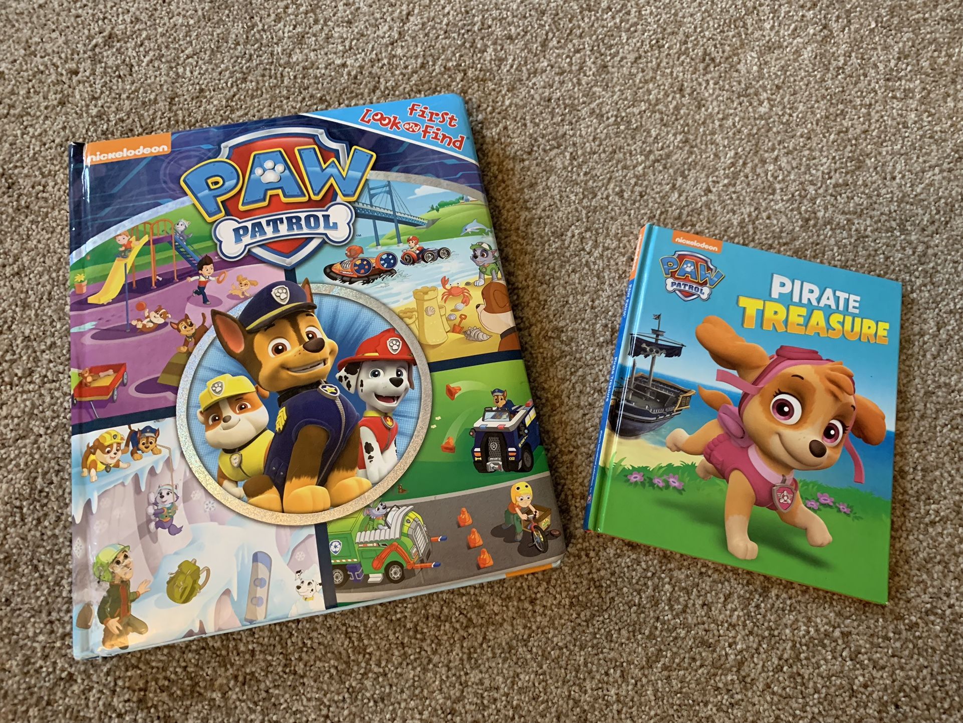 Set Of Paw Patrol Books (both for $8)