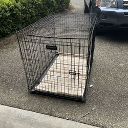 Portable Dog Kennel
