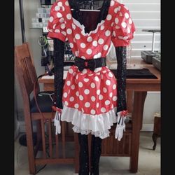 Minnie Mouse Costume Small To Medium