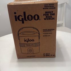 igloo 