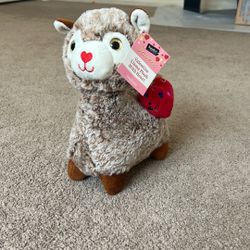 Stuffed Animal 