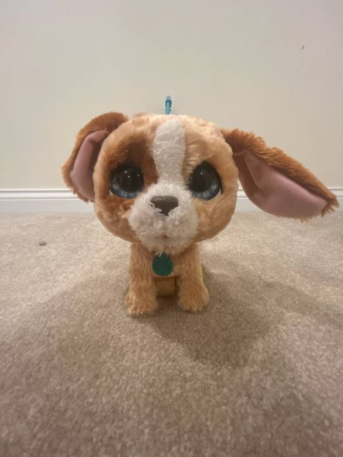 Dog Walking Toy