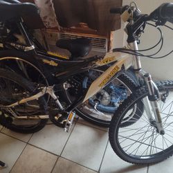 Mongoose 24"