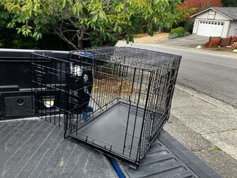 Medium Dog Kennel Crate Collapsible like New 30” L by 19” W 21”H