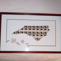 Picture North Carolina Stamp Of The Union