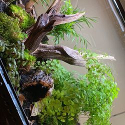 Reptile Enclosure