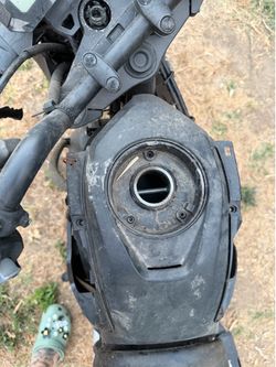 2023 Honda grom