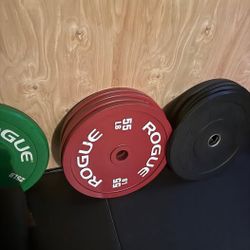 New calibrated LB rogue plate pair, retail is $350 with tax shipping