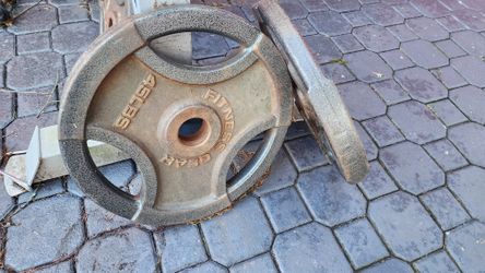 Two 45lb plates