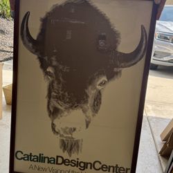 Catalina Buffalo Bison Framed Glass Print