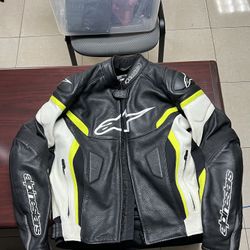 Alpine Motorcycle Leather Jacket