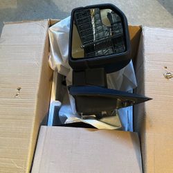 2020 F150 Mirrors 