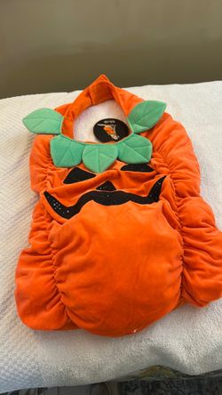 Dog Halloween costume